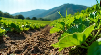 Einblick in die Umweltbiologie von Guadalupe Lopez-Nava (2/10)