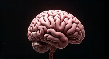 Einblicke in die Neurotechnologie (2/10)