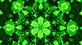 Ökonomische Aspekte der Cannabisindustrie (8/10)