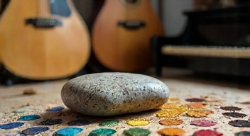 Der Pet Rock in der Musik und Kunst (10/10)