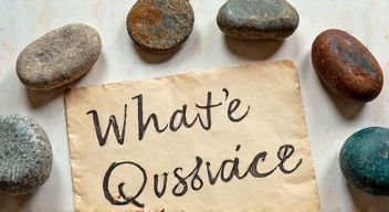 Die 5 meistgestellten Fragen (FAQ) zu Pet Rock