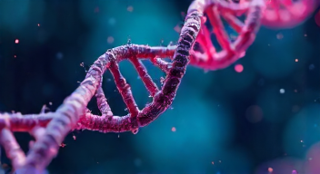 Einblick in die KI-Analyse von DNA (2/10)