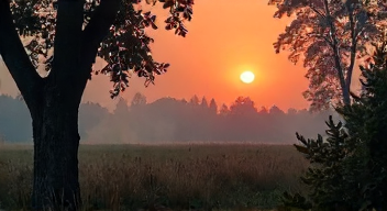 Mein Erlebnis mit Waldbränden und Klimawandel (1/10)