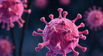 Meine Faszination für Krebszellen und Immunantworten (1/10)