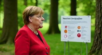 Politische Maßnahmen zum Schutz der Wildkatze (9/10)