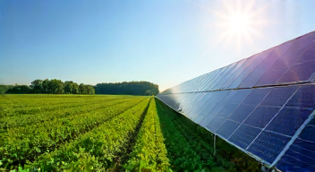 Wirtschaftlichkeit der Agri-PV im Fokus (2/10)